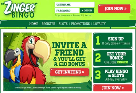 Zinger bingo casino online